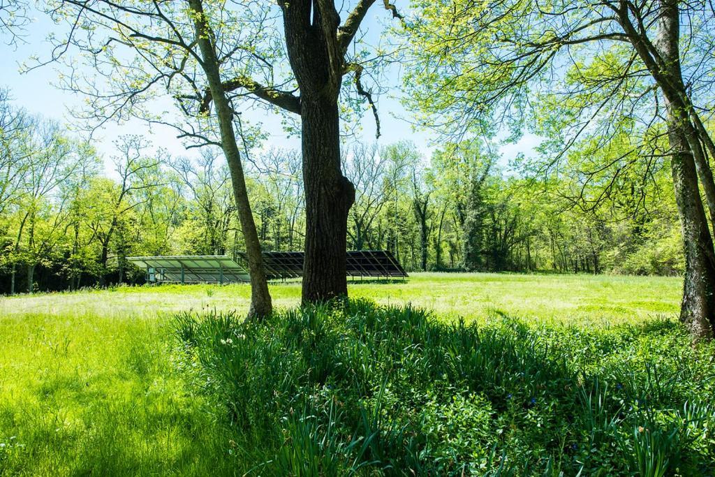 Oak Grove Bed And Breakfast Южный Бостон Экстерьер фото